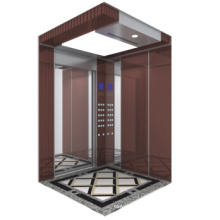 450kg Comfortable and Safe Vvvf Residential Small Villa/Home Elevator